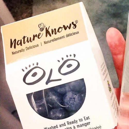 Fresh Blueberries: 12 x 75g Snack Boxes